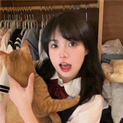 退休警察